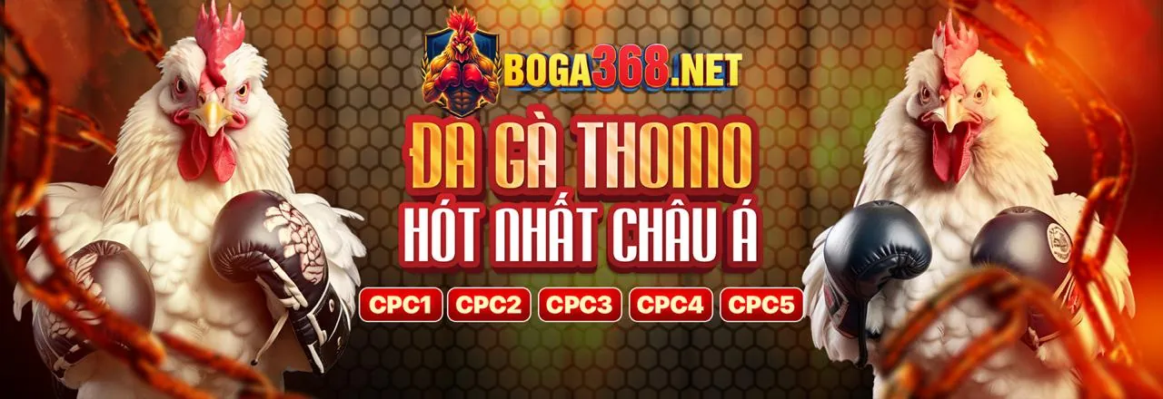 Đá Gà Trực Tuyến tv88 - Trải nghiệm cá cược đỉnh cao